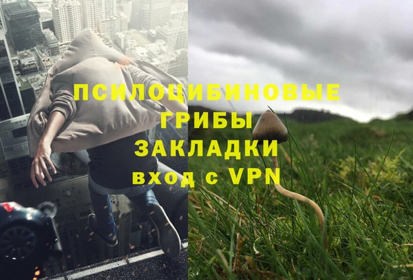 spice Алексин