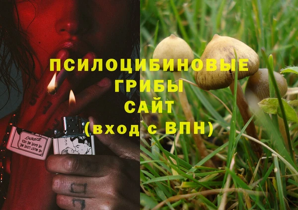 марки nbome Алексеевка